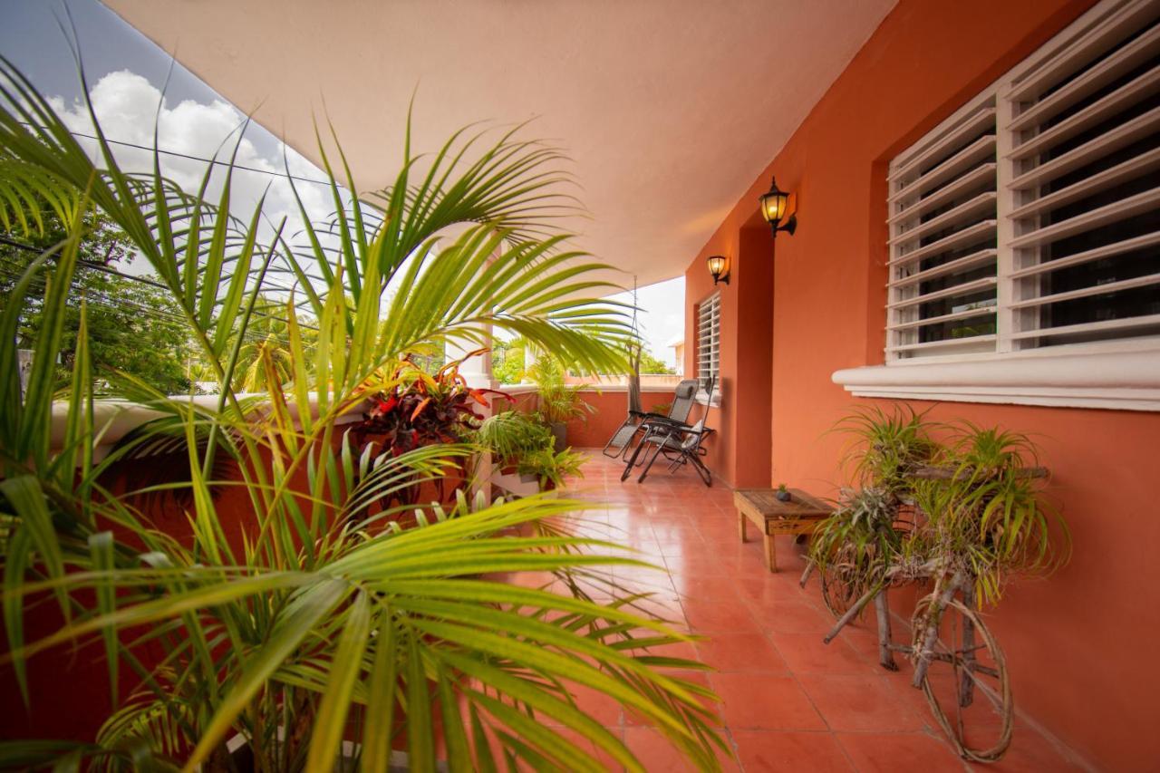 Budgies Apartment Cozumel